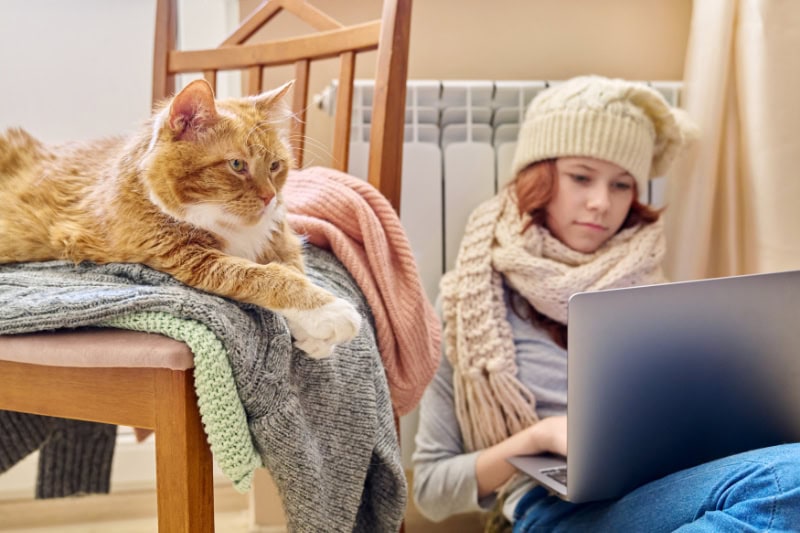 Preteen girl in knitted scarf hat is warming near heating radiator using laptop for leisure study with orange cat lying on chair.